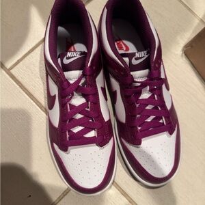 Nike Purple dunks NWOT